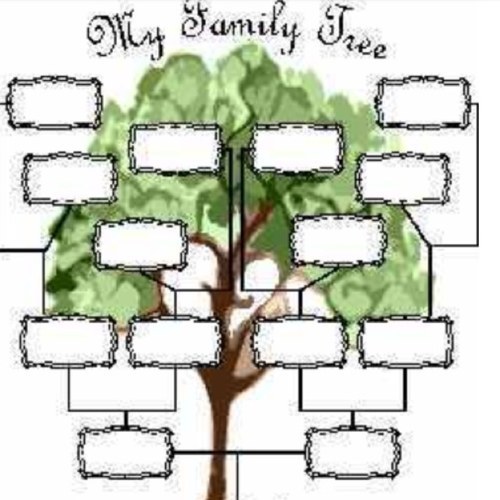 Family tree maker 2010 patch for windows 10